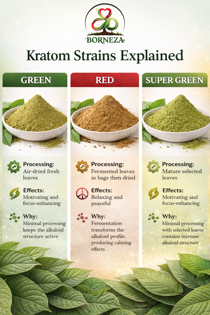 kratom strains explained 1